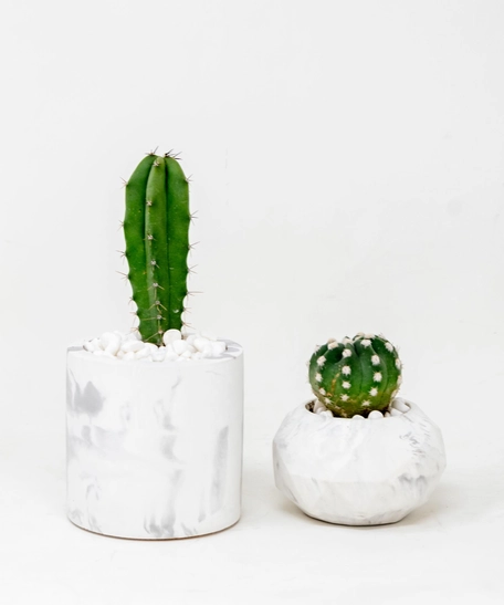 Set of Two Concrete Plant Pots in White