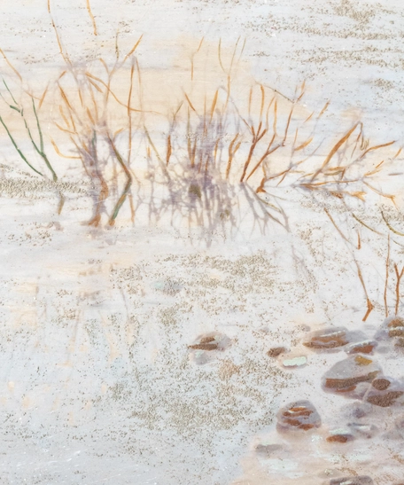 لوحة جدارية خشب مضغوط - نباتات البحر الميت