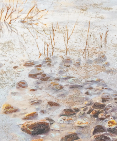 لوحة جدارية خشب مضغوط - نباتات البحر الميت
