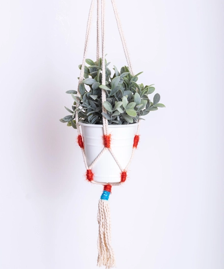 Macrame Plant Hanger - Red and Blue Threads