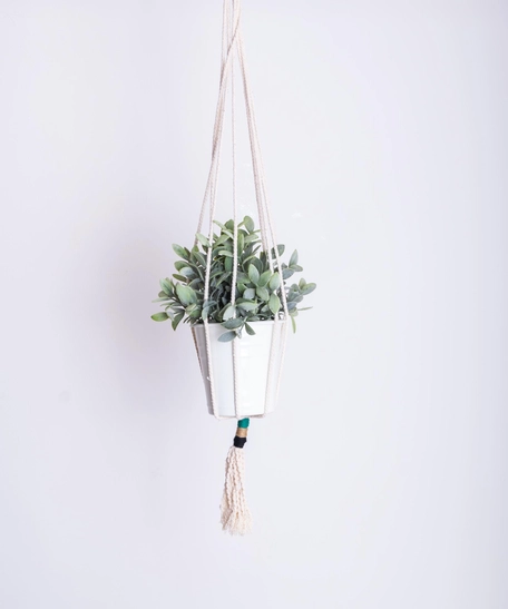 Handmade Macrame Plant Hanger