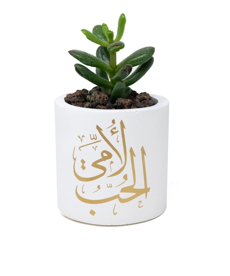 Cement Plant Pot - White & Gold