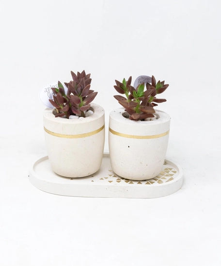 Two Cement Plant Pot with a Holder - Set 2