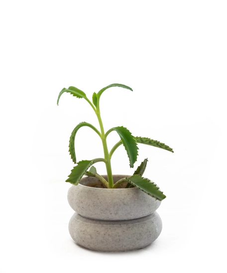 Tire-Like Gray Round Plant Pot