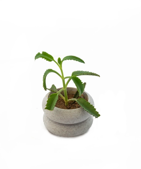 Tire-Like Gray Round Plant Pot