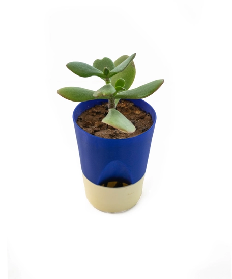 3D Printed Conical Plant Pot - Multiple Designs - Navy Blue