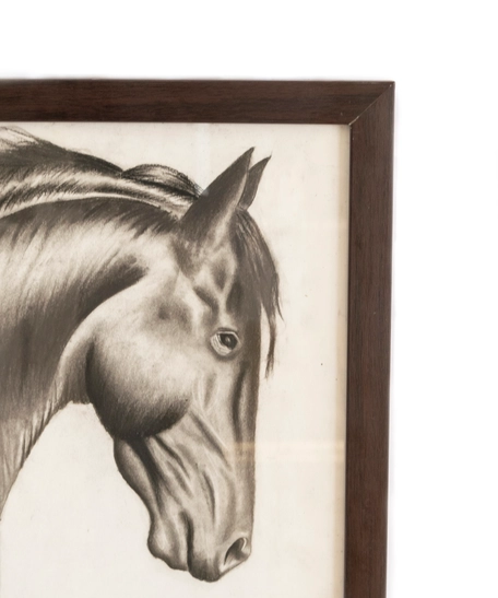 Charcoal Horse Painting