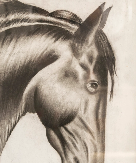 Charcoal Horse Painting