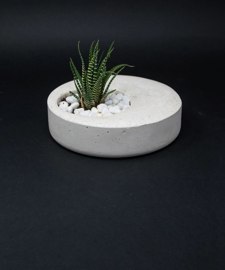 Indoor Ornamental Concrete White Round Plant Pot - Aloe Vera