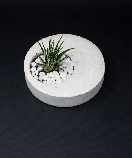 Indoor Ornamental Concrete White Round Plant Pot - Aloe Vera