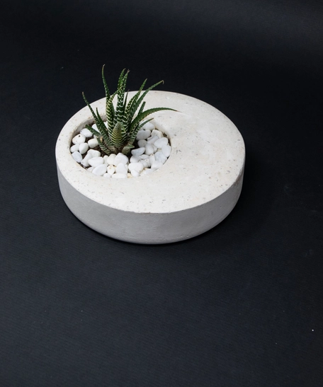 Indoor Ornamental Concrete White Round Plant Pot - Aloe Vera