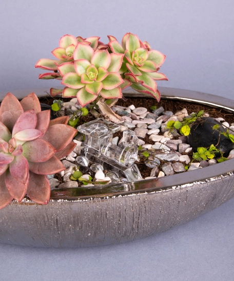 Fairy Garden: Decorative Plant Pot with Stones and Plantings - Miniature Garden