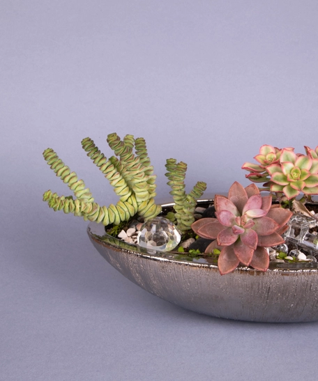 Fairy Garden: Decorative Plant Pot with Stones and Plantings - Miniature Garden