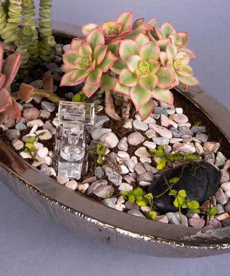 Fairy Garden: Decorative Plant Pot with Stones and Plantings - Miniature Garden