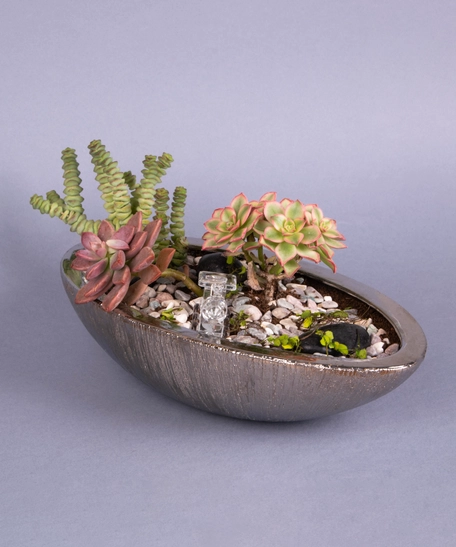 Fairy Garden: Decorative Plant Pot with Stones and Plantings - Miniature Garden