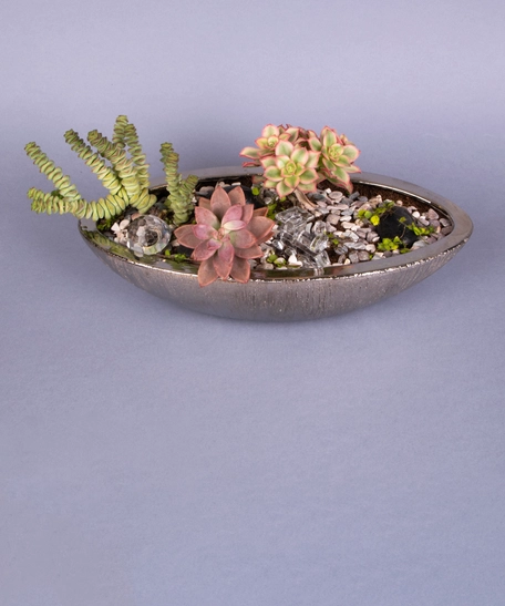 Fairy Garden: Decorative Plant Pot with Stones and Plantings - Miniature Garden