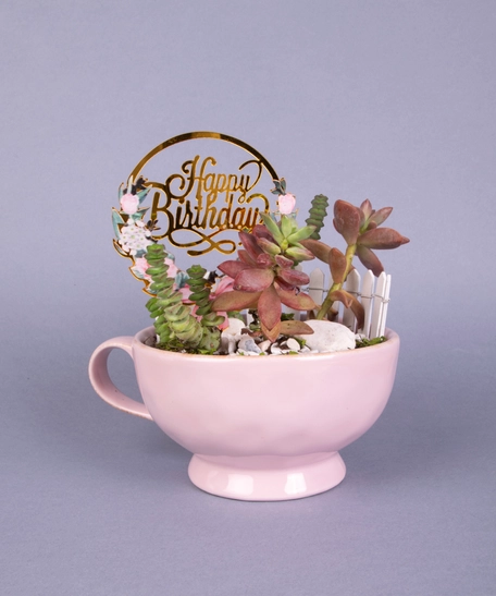 Special Birthday Gift: Pink Plant Pot with Fairy Garden Figure and Birthday Card