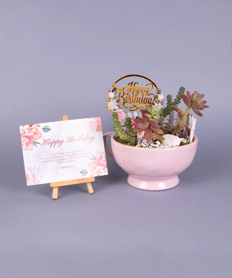 Special Birthday Gift: Pink Plant Pot with Fairy Garden Figure and Birthday Card