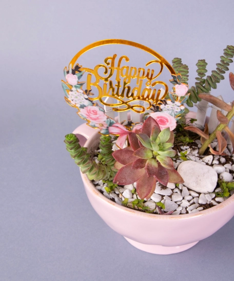 Special Birthday Gift: Pink Plant Pot with Fairy Garden Figure and Birthday Card