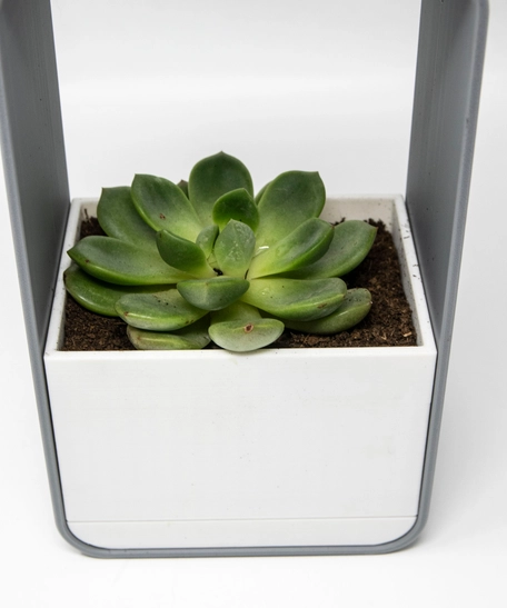 Modern Elegant Plant Stand - Luxurious Home Decor