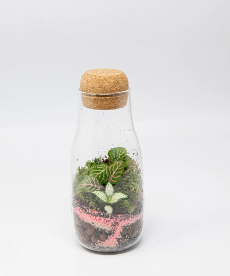 Elegant Mini Terrarium - Handmade Glass Garden