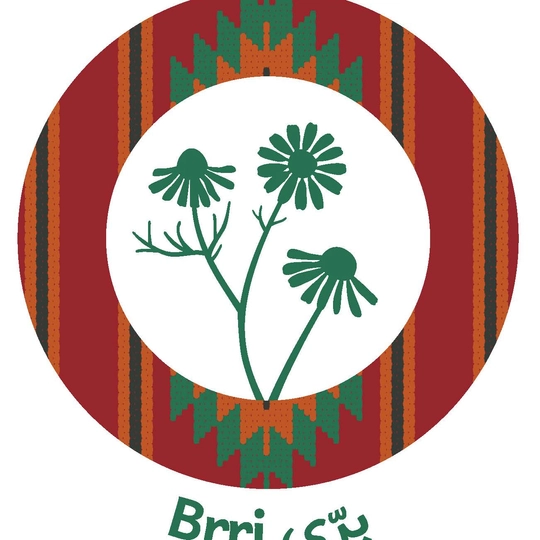 Brri