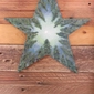 Star-Shaped Forest Wall Hanging 