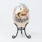 Ostrich Egg: Ibex in the Mountains
